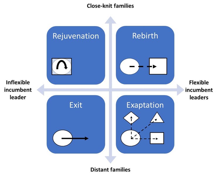 A graph shows four family business transition strategies.