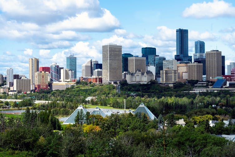 A city skyline stretches out beyond a forest of trees