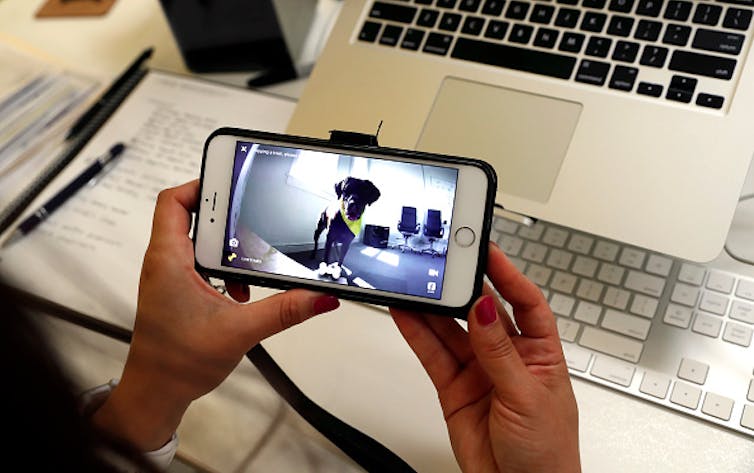 A person looking at video of dog at desk in office