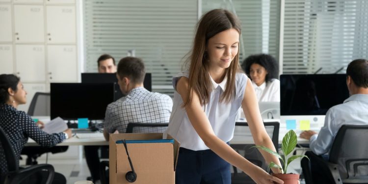 Graduates lose pay benefit in more durable occasions, however general workforce entrants appear surprisingly glad