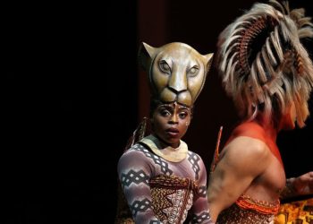 The development of South Africa’s cultural industries is determined by broader state insurance policies