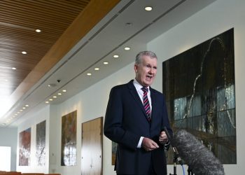 Tony Burke’s double ministry of arts and industrial relations might be simply what the humanities sector wants