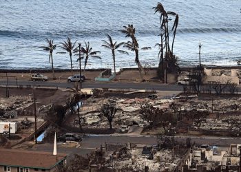 Wildfires are a extreme blow to Maui’s tourism-based financial system, however different iconic locations have come again from comparable disasters