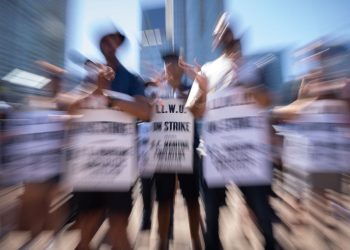 Striking a stability: How the regulation regulates picket traces