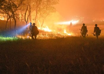 Wildland firefighters face an enormous pay minimize with out motion by Congress – here is how bodily demanding this lifesaving job is